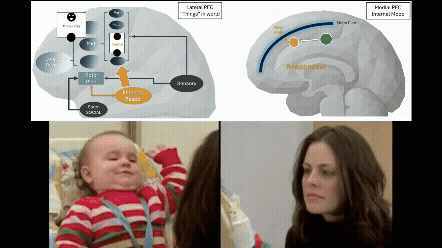 still face - reappraisal